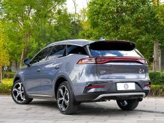 BYD Tang New Energy DM-i 112KM Premium Edition - фото 13