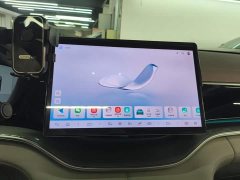 BYD Song Plus New Energy DM-i 112KM Luxury Edition - ფოტო 13