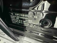 Tank 300 Off-Road Edition 2.0T Conqueror - ფოტო 11