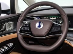 Denza D9 DM-i 1050 Premium - ფოტო 15