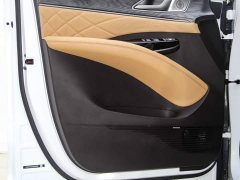 Denza D9 DM-i 1050 Premium - ფოტო 17