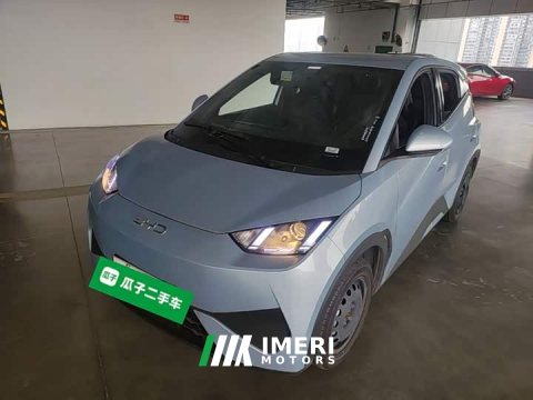 2025 BYD Seagull Smart Drive 305km Vitality Edition - ავტომობილი ჩინეთიდან
