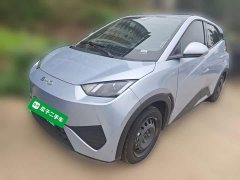 BYD Seagull Smart Drive 305km Vitality Edition - ფოტო 2