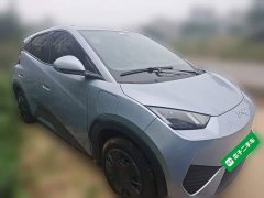 BYD Seagull Smart Drive 305km Vitality Edition - ფოტო 4