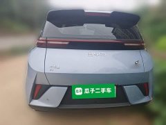 BYD Seagull Smart Drive 305km Vitality Edition - ფოტო 7