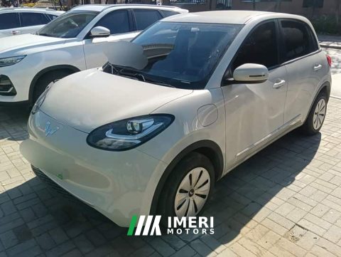 2025 Wuling Binguo 203km Light Enjoy Edition - ავტომობილი ჩინეთიდან