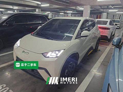 2024 BYD Seagull 405km Flying Edition - ავტომობილი ჩინეთიდან