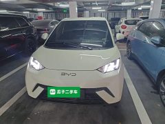 BYD Seagull 405km Flying Edition - photo 2