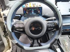 BYD Seagull 405km Flying Edition - photo 6