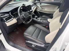 Lynk & Co 06 1.5T Type Plus - ფოტო 10