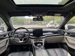 BYD Qin PLUS EV 500KM Luxury - ფოტო 9