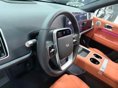 Li Auto L6 Pro - ფოტო 13