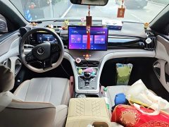 BYD Song Pro New Energy Champion Edition DM-i 110KM Excellence - photo 5