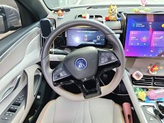 BYD Song Pro New Energy Champion Edition DM-i 110KM Excellence - photo 6