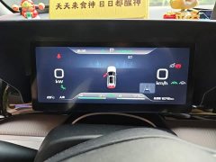 BYD Song Pro New Energy Champion Edition DM-i 110KM Excellence - photo 7