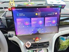 BYD Song Pro New Energy Champion Edition DM-i 110KM Excellence - photo 9