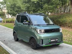 Wuling Hongguang MINIEV GAMEBOY 300km Fun Edition LFP Battery - photo 3