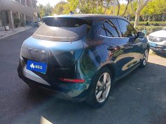 ORA Good Cat 400km Standard Range Luxury Lithium Iron Phosphate - ფოტო 3