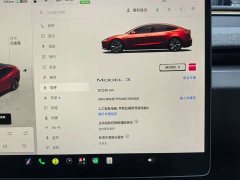Tesla Model 3 Rear-Wheel Drive - ფოტო 20