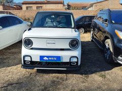 Geely Panda 210km Panda Kart - photo 2