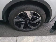 BYD Yuan Plus DM-i Champion Edition 112KM Honor Trim - фото 6