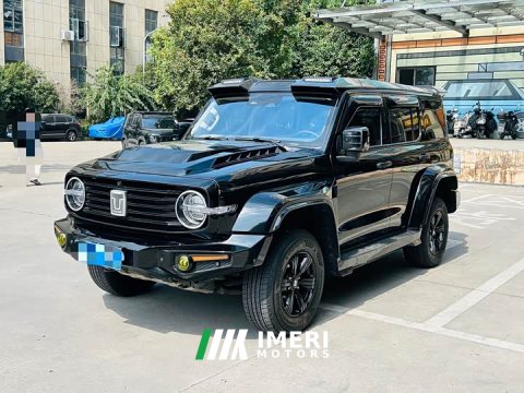 2024 Tank 300 2.0T Conqueror - ავტომობილი ჩინეთიდან