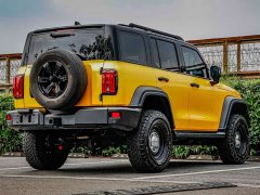 Tank 300 Off-Road Edition 2.0T Conqueror - ფოტო 4