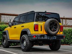 Tank 300 Off-Road Edition 2.0T Conqueror - ფოტო 6