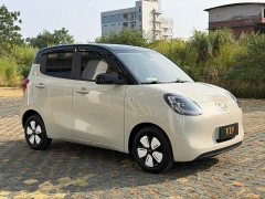 Wuling Hongguang MINIEV Fourth Generation Four-Door Premium Plus Edition - фото 3