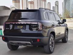 Great Wall Dachshund 2.0T DCT Chinese Rural Dog Edition - ფოტო 6