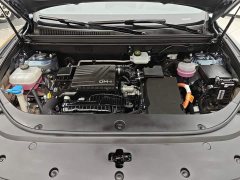 BYD Song Pro New Energy DM-i 110KM Glory Edition Exceed - photo 10