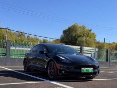 Tesla Model 3 Performance All-Wheel Drive - фото 3