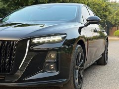 FAW Red Flag H5 2.0T Automatic Mystic Shadow Edition - ფოტო 8