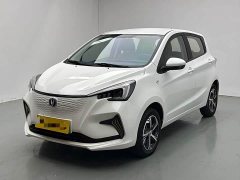 Changan Benben E-Star Pure Heart Edition Multicolor LFP - ფოტო 1