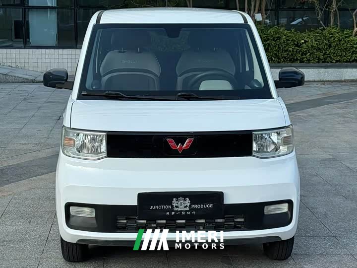 Wuling Hongguang MINIEV Deluxe Edition LFP Battery