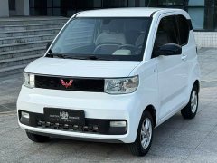 Wuling Hongguang MINIEV Deluxe Edition LFP Battery - ფოტო 3