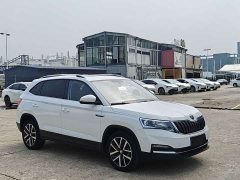 Skoda Comic Facelift 1.5L Automatic Comfort Edition - ფოტო 8