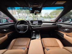 Lexus ES 300h Executive Edition National V Emission Standard - ფოტო 8