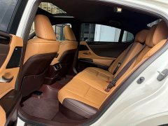 Lexus ES 300h Executive Edition National V Emission Standard - ფოტო 9