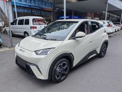 BYD Seagull Freedom Edition - ფოტო 1