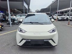BYD Seagull Freedom Edition - ფოტო 2