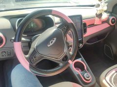 Chery Ant Facelift 150,000 Ant Fans Edition New Ant Cool Version LFP Battery - ფოტო 12