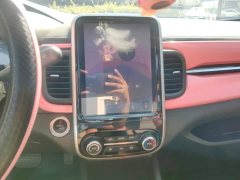 Chery Ant Facelift 150,000 Ant Fans Edition New Ant Cool Version LFP Battery - ფოტო 13