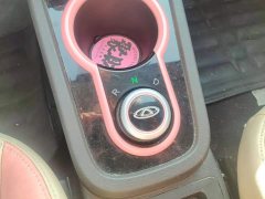 Chery Ant Facelift 150,000 Ant Fans Edition New Ant Cool Version LFP Battery - ფოტო 16