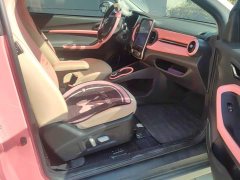 Chery Ant Facelift 150,000 Ant Fans Edition New Ant Cool Version LFP Battery - ფოტო 8