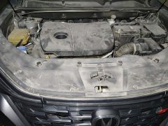 Changan CS75PLUS 2.0T Automatic Navigation Edition - ფოტო 16