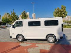 SRM Shineray E3 BYD 310KM Utility Passenger Transport - ფოტო 8