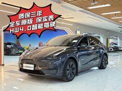 Tesla Model Y Rear-Wheel Drive - ფოტო 1