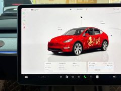 Tesla Model Y Rear-Wheel Drive - ფოტო 16