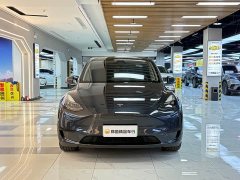 Tesla Model Y Rear-Wheel Drive - ფოტო 8